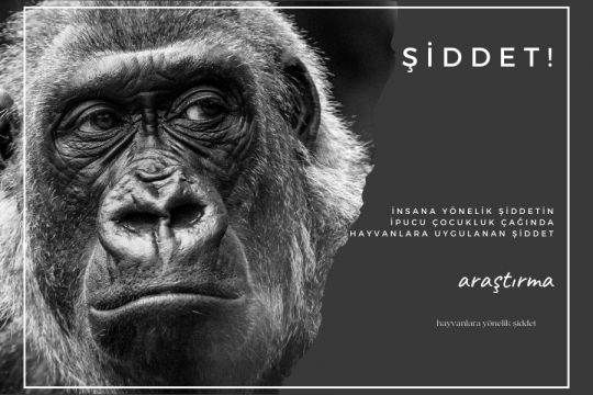 Şiddet ve Yansıması